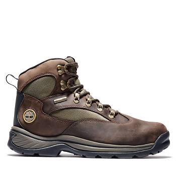 Timberland Férfi Chocorua Trail Mid Cut Túrabakancs Barna